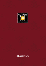 Tiziano Regensburg - Speisekarte
